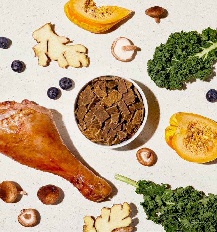 How to spot sneaky fillers in dog food Sundays for Dogs