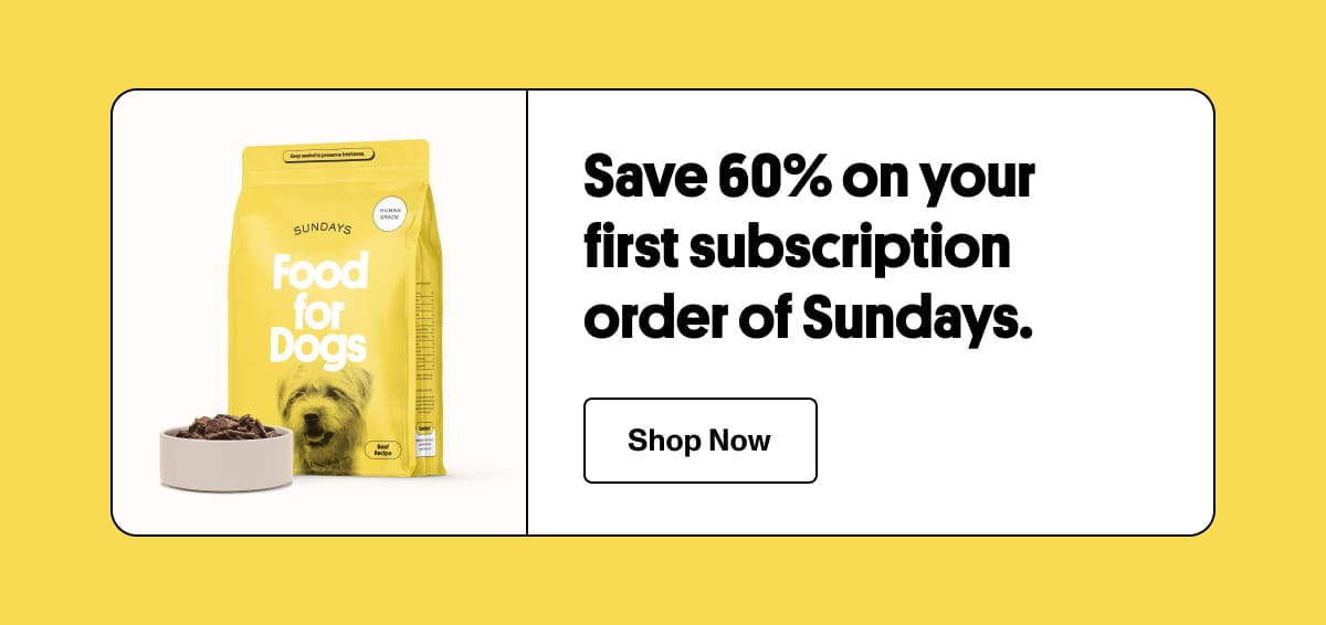 Save 60% on your first subscription order of Sundays.