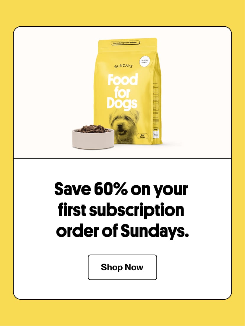 Save 60% on your first subscription order of Sundays.