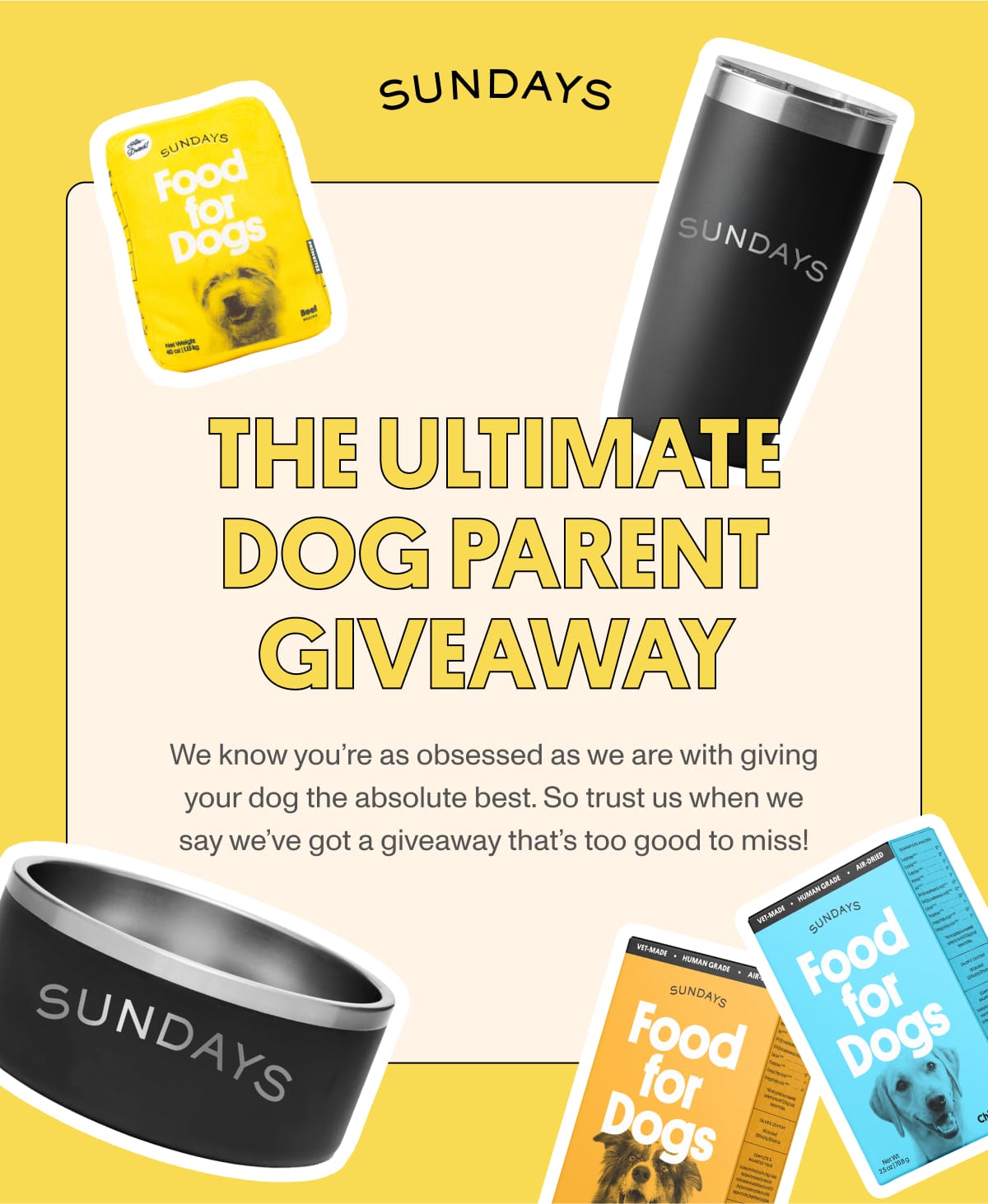 The Ultimate Dog Parent Giveaway