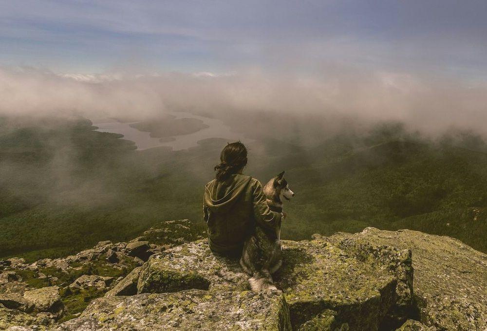 Dog and pet parent on top of a mountain