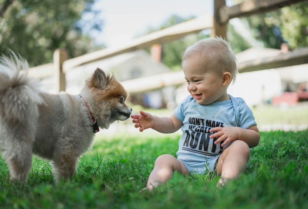 Baby playing with dog 