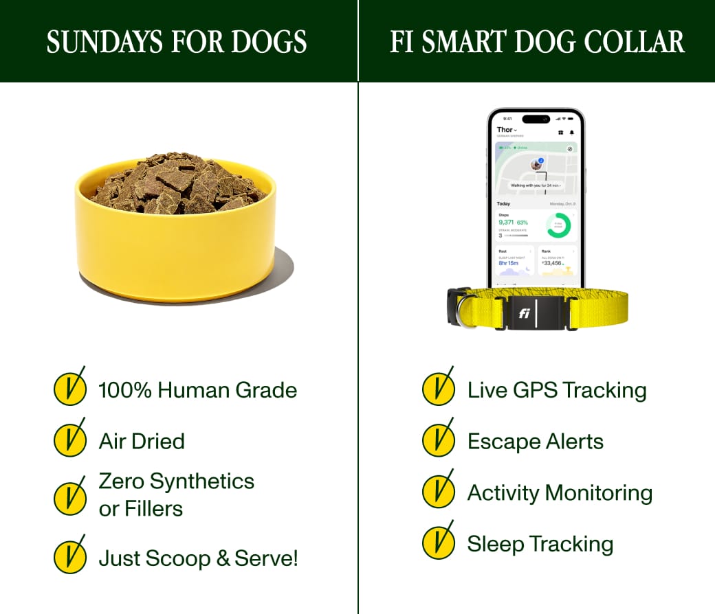 Sundays for Dogs and Fi Smart Dog Collar