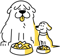 Two dogs with bowl of Sundays