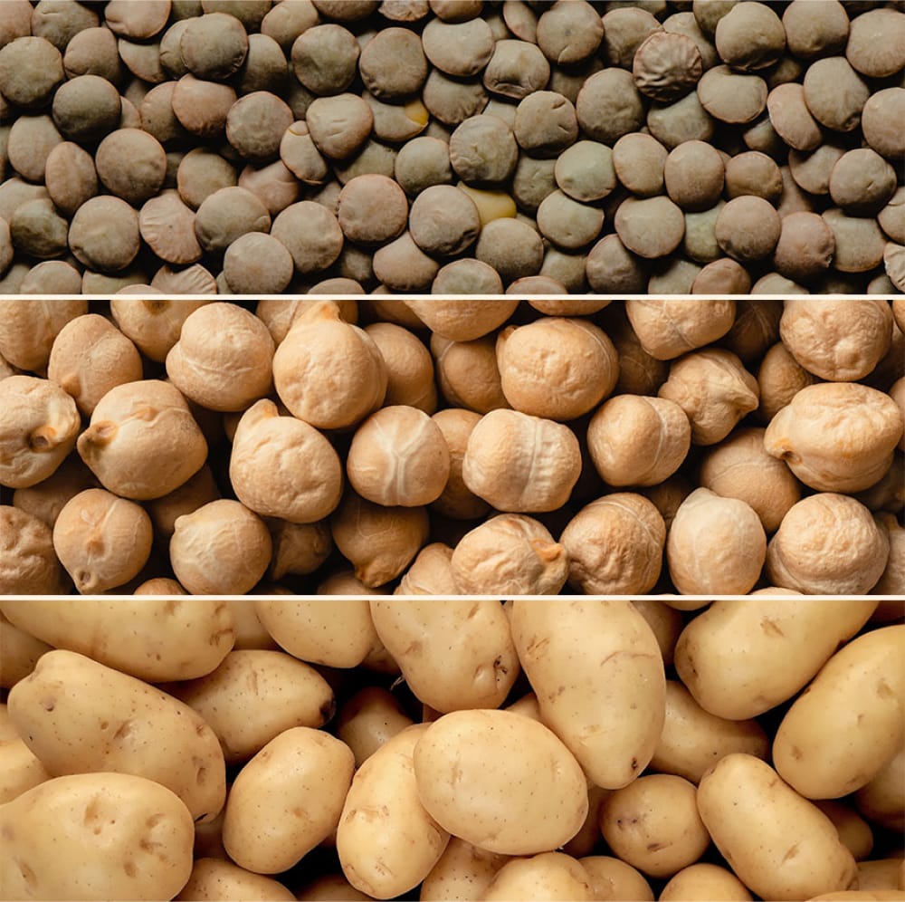 Lentils, chickpeas, and potatoes