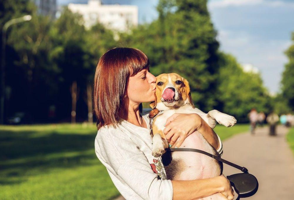 Person kissing their dog